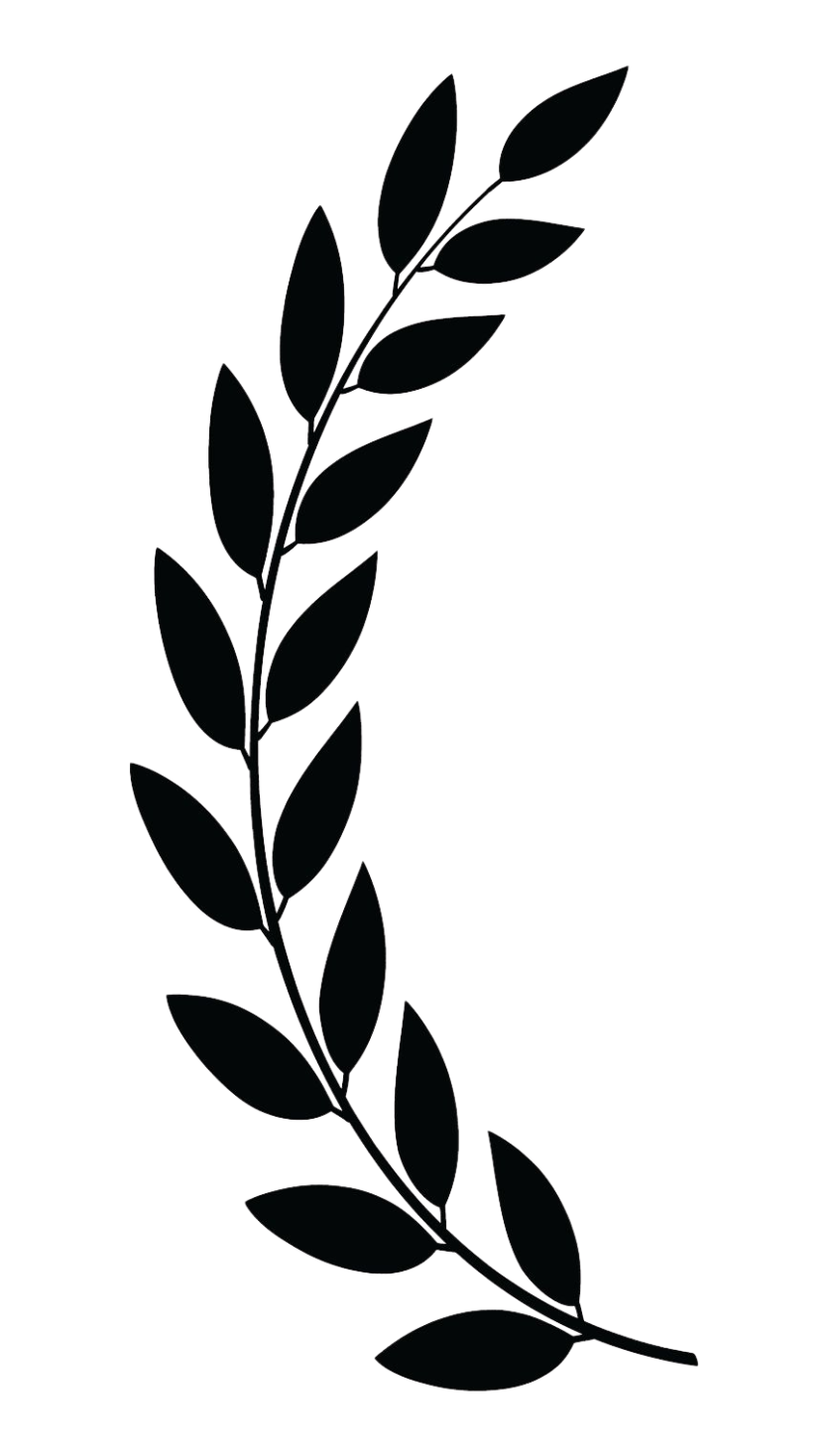 Left laurel decoration